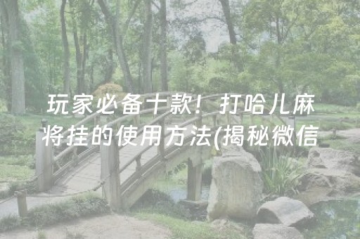 玩家必备十款！打哈儿麻将挂的使用方法(揭秘微信里最新神器下载)