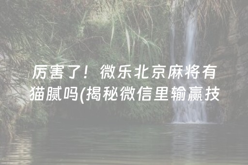 厉害了！微乐北京麻将有猫腻吗(揭秘微信里输赢技巧)