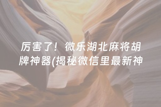 厉害了！微乐湖北麻将胡牌神器(揭秘微信里最新神器下载)