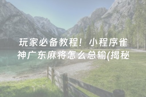 玩家必备教程！小程序雀神广东麻将怎么总输(揭秘微信里输赢规律)