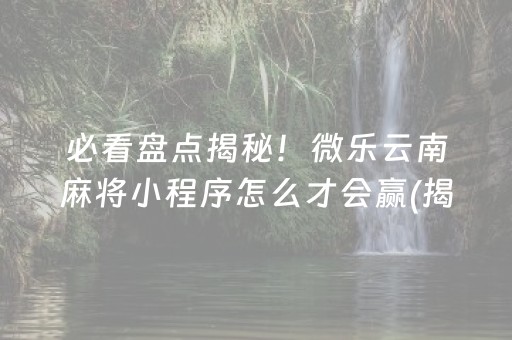 必看盘点揭秘！微乐云南麻将小程序怎么才会赢(揭秘小程序提高胜率)