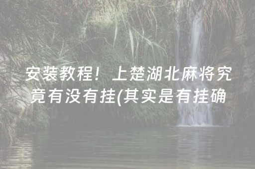 安装教程！上楚湖北麻将究竟有没有挂(其实是有挂确实有挂)