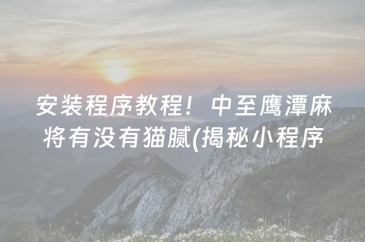 安装程序教程！中至鹰潭麻将有没有猫腻(揭秘小程序自建房怎么赢)