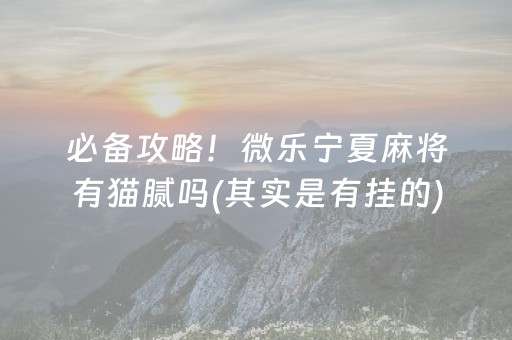 必备攻略！微乐宁夏麻将有猫腻吗(其实是有挂的)