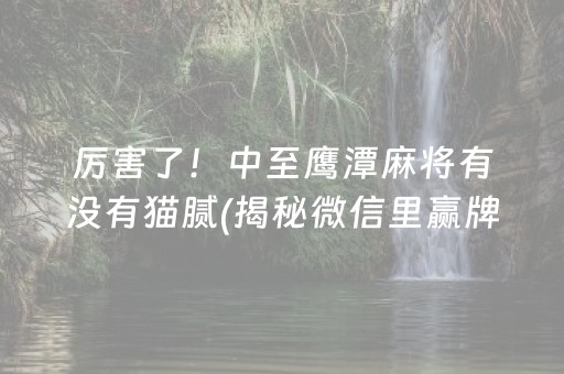 厉害了！中至鹰潭麻将有没有猫腻(揭秘微信里赢牌的技巧)