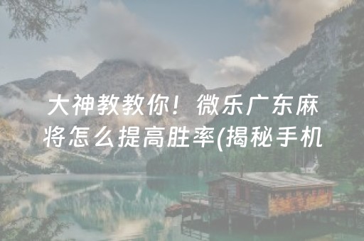 大神教教你！微乐广东麻将怎么提高胜率(揭秘手机上提高赢的概率)