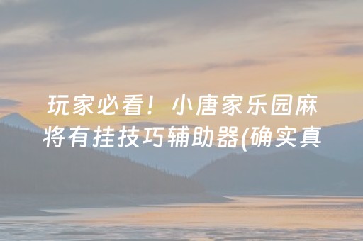 玩家必看！小唐家乐园麻将有挂技巧辅助器(确实真的有挂)