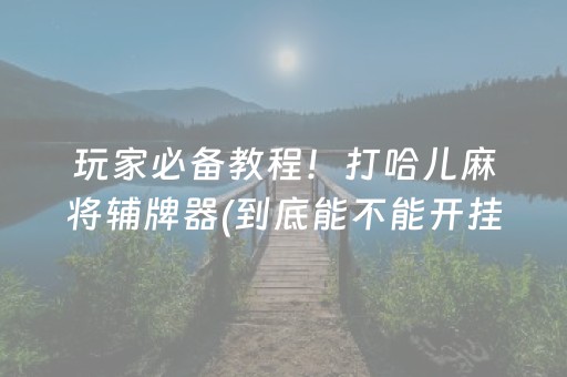 玩家必备教程！打哈儿麻将辅牌器(到底能不能开挂)