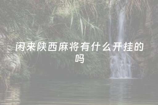 闲来陕西麻将有什么开挂的吗（陕西闲来麻将游戏）