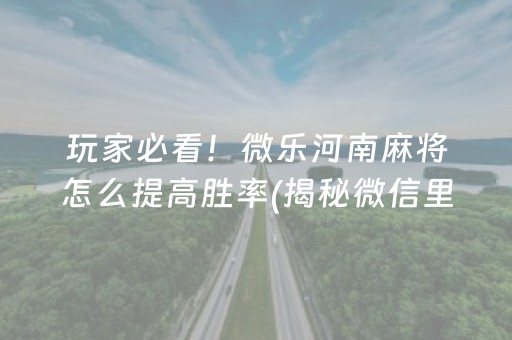 玩家必看！微乐河南麻将怎么提高胜率(揭秘微信里辅牌器)