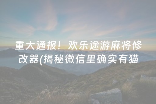 重大通报！欢乐途游麻将修改器(揭秘微信里确实有猫腻)