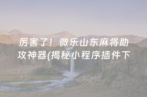 厉害了！微乐山东麻将助攻神器(揭秘小程序插件下载)