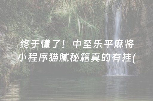 终于懂了！中至乐平麻将小程序猫腻秘籍真的有挂(确实是有挂的)