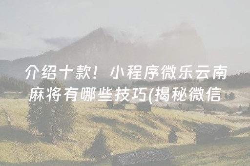 介绍十款！小程序微乐云南麻将有哪些技巧(揭秘微信里专用神器)