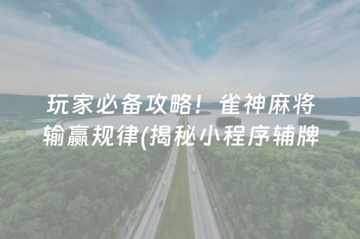 玩家必备攻略！雀神麻将输赢规律(揭秘小程序辅牌器)