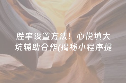 胜率设置方法！心悦填大坑辅助合作(揭秘小程序提高胜率)