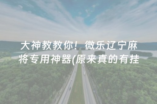 大神教教你！微乐辽宁麻将专用神器(原来真的有挂呢)