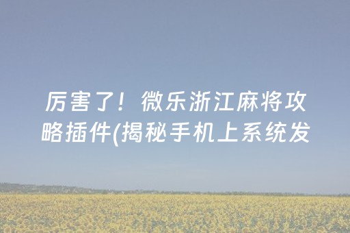 厉害了！微乐浙江麻将攻略插件(揭秘手机上系统发好牌)