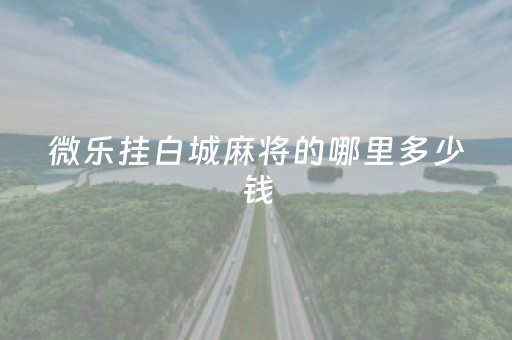 微乐挂白城麻将的哪里多少钱（微乐白山麻将微信群）