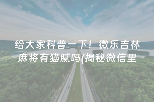 给大家科普一下！微乐吉林麻将有猫腻吗(揭秘微信里系统发好牌)