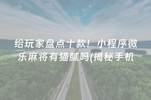 给玩家盘点十款！小程序微乐麻将有猫腻吗(揭秘手机上系统发好牌)