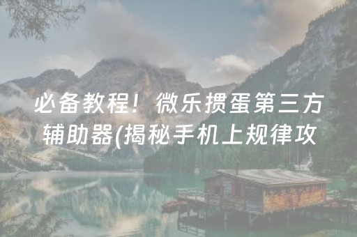 必备教程！微乐掼蛋第三方辅助器(揭秘手机上规律攻略)