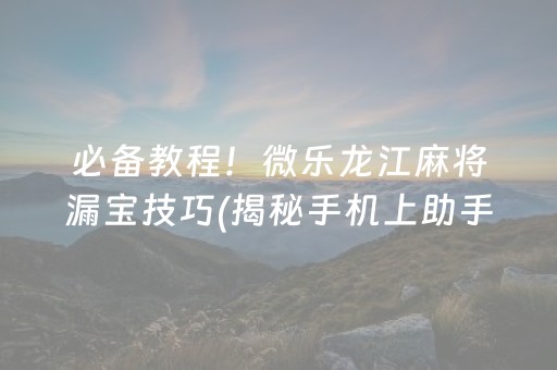 必备教程！微乐龙江麻将漏宝技巧(揭秘手机上助手软件)