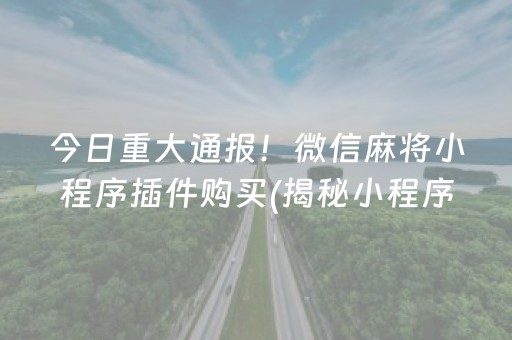 今日重大通报！微信麻将小程序插件购买(揭秘小程序攻略插件)