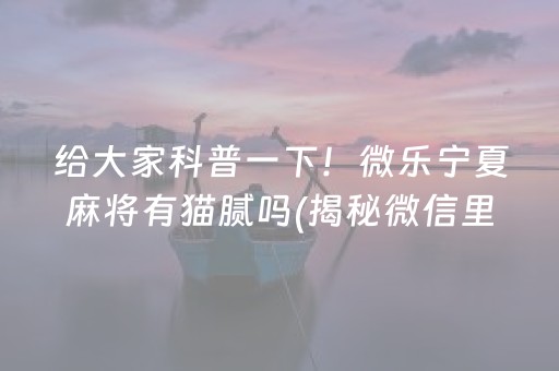 给大家科普一下！微乐宁夏麻将有猫腻吗(揭秘微信里最新神器下载)