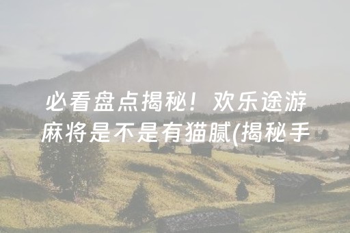 必看盘点揭秘！欢乐途游麻将是不是有猫腻(揭秘手机上确实有猫腻)