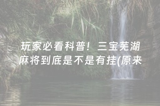 玩家必看科普！三宝芜湖麻将到底是不是有挂(原来真的有挂)