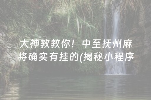 大神教教你！中至抚州麻将确实有挂的(揭秘小程序输赢规律)