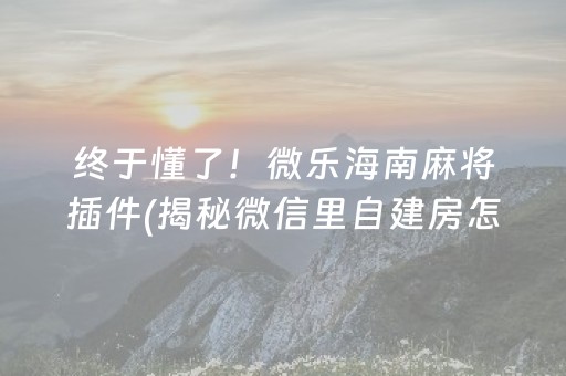 终于懂了！微乐海南麻将插件(揭秘微信里自建房怎么赢)