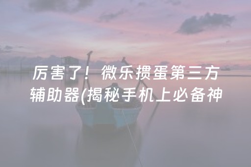 厉害了！微乐掼蛋第三方辅助器(揭秘手机上必备神器)