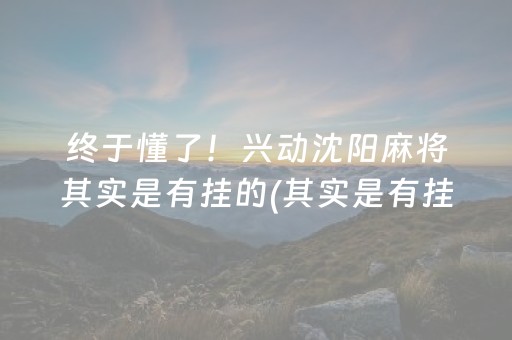 终于懂了！兴动沈阳麻将其实是有挂的(其实是有挂确实有挂)