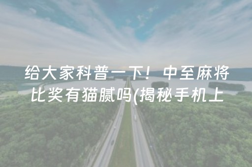 给大家科普一下！中至麻将比奖有猫腻吗(揭秘手机上赢的秘诀)