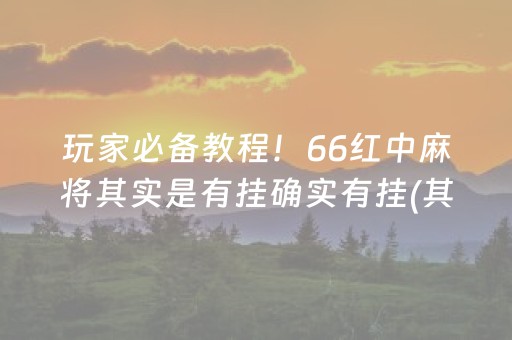 玩家必备教程！66红中麻将其实是有挂确实有挂(其实真的确实有挂)