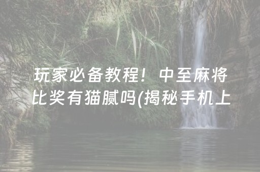 玩家必备教程！中至麻将比奖有猫腻吗(揭秘手机上提高赢的概率)