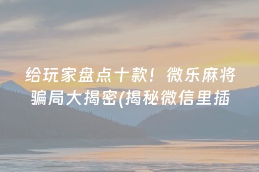 给玩家盘点十款！微乐麻将骗局大揭密(揭秘微信里插件免费)