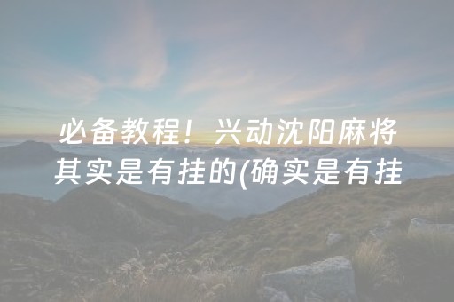 必备教程！兴动沈阳麻将其实是有挂的(确实是有挂)