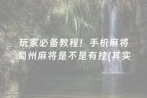 玩家必备教程！手机麻将蜀州麻将是不是有挂(其实是有挂确实有挂)