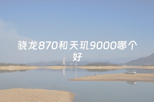 骁龙870和天玑9000哪个好（处理器骁龙870和天玑9000哪个好）