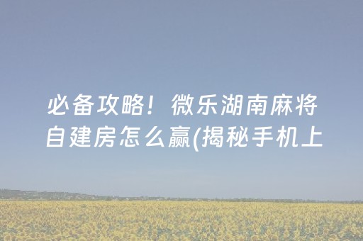 必备攻略！微乐湖南麻将自建房怎么赢(揭秘手机上提高胜率)