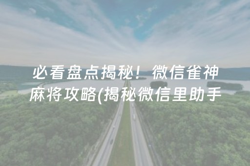 必看盘点揭秘！微信雀神麻将攻略(揭秘微信里助手软件)