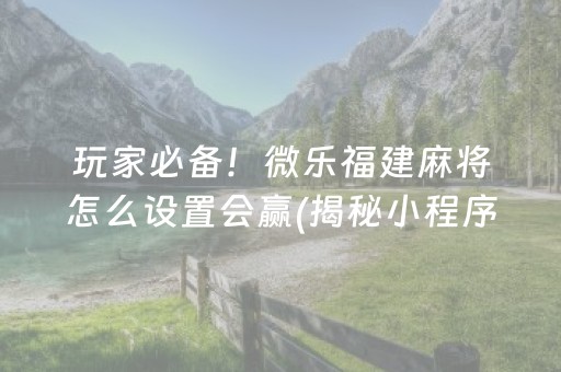 玩家必备！微乐福建麻将怎么设置会赢(揭秘小程序提高赢的概率)