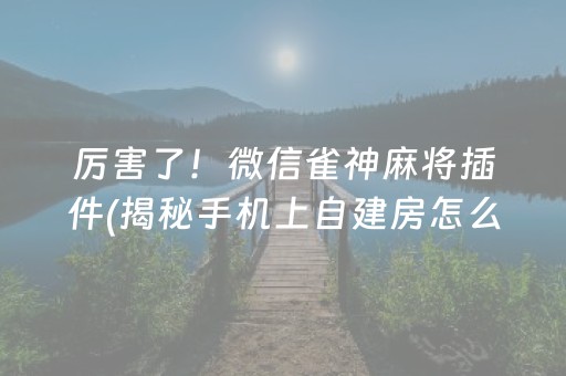 厉害了！微信雀神麻将插件(揭秘手机上自建房怎么赢)