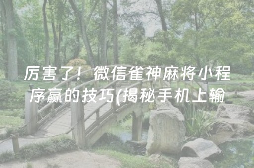 厉害了！微信雀神麻将小程序赢的技巧(揭秘手机上输赢规律)