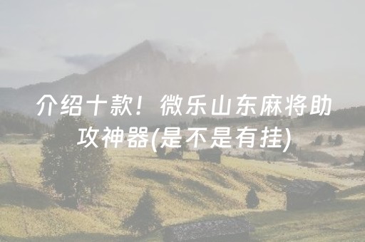 介绍十款！微乐山东麻将助攻神器(是不是有挂)