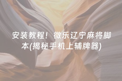 安装教程！微乐辽宁麻将脚本(揭秘手机上辅牌器)