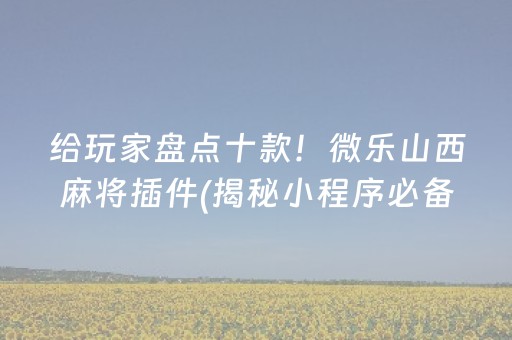 给玩家盘点十款！微乐山西麻将插件(揭秘小程序必备神器)